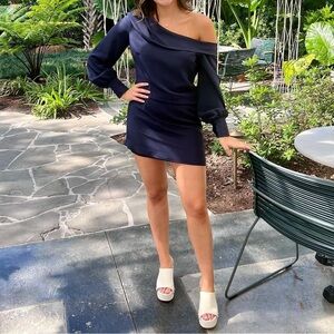 100% silk lavender brown dress